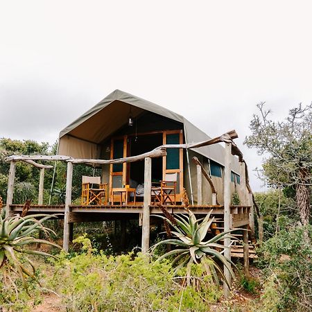 Woodbury Tented Camp - Riserva Faunistica di Amakhala Esterno foto