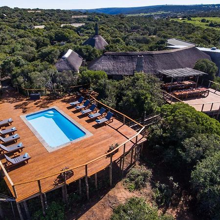 Woodbury Tented Camp - Riserva Faunistica di Amakhala Esterno foto