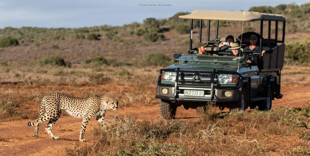 Woodbury Tented Camp - Riserva Faunistica di Amakhala Esterno foto