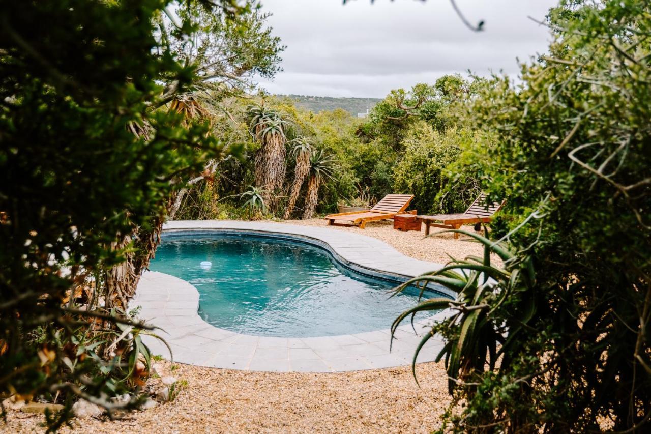 Woodbury Tented Camp - Riserva Faunistica di Amakhala Esterno foto