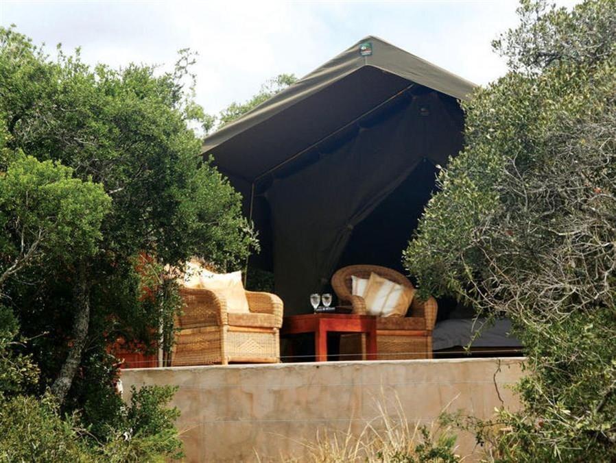 Woodbury Tented Camp - Riserva Faunistica di Amakhala Esterno foto