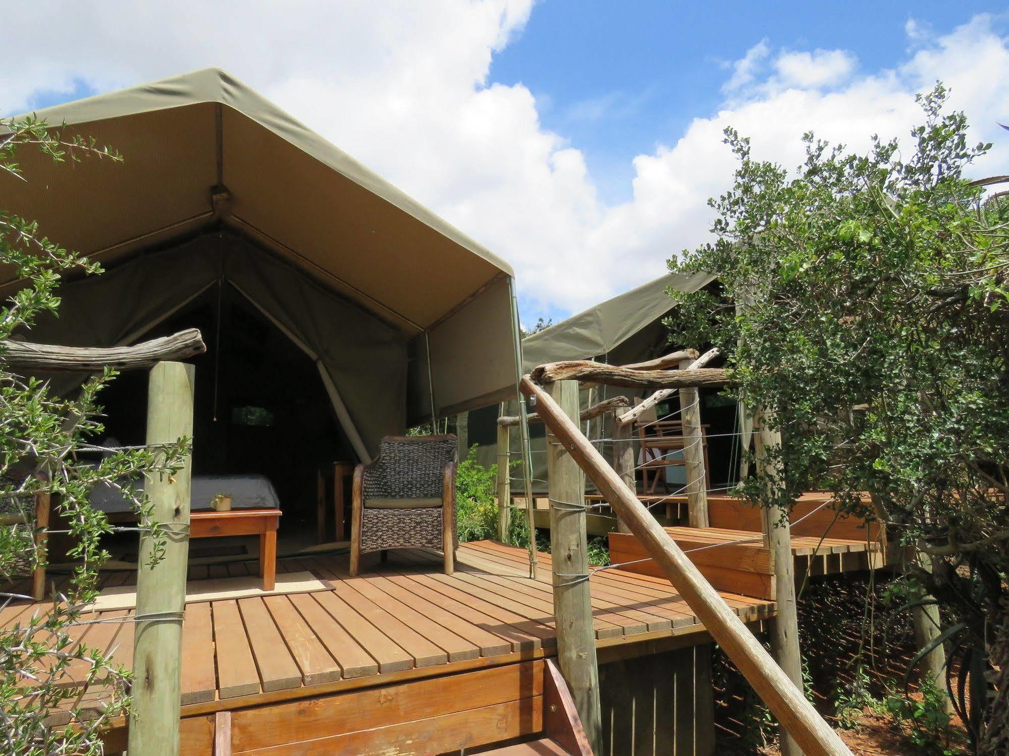 Woodbury Tented Camp - Riserva Faunistica di Amakhala Esterno foto