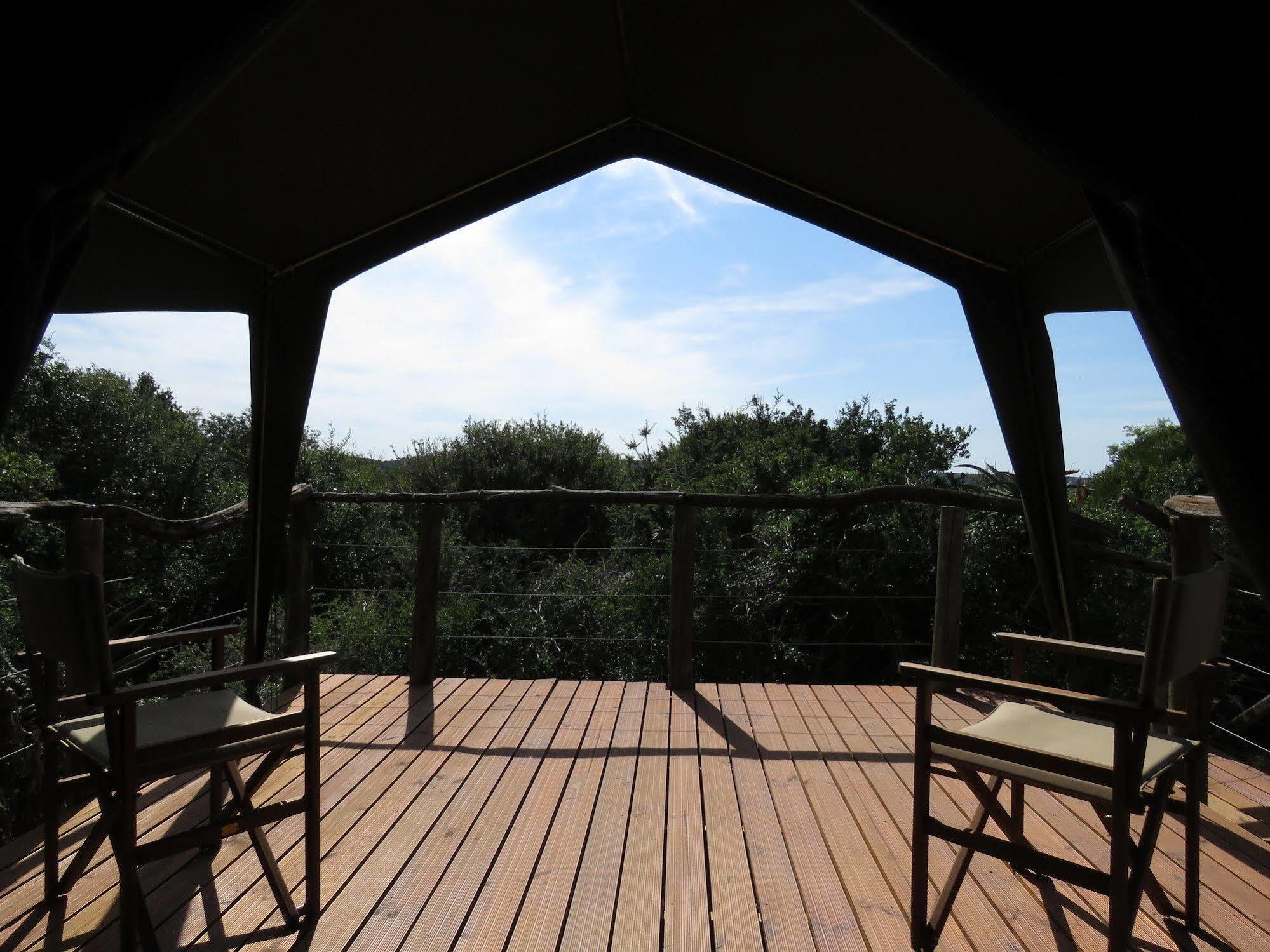 Woodbury Tented Camp - Riserva Faunistica di Amakhala Esterno foto