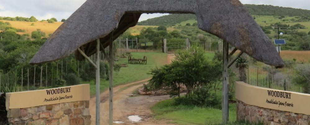 Woodbury Tented Camp - Riserva Faunistica di Amakhala Esterno foto