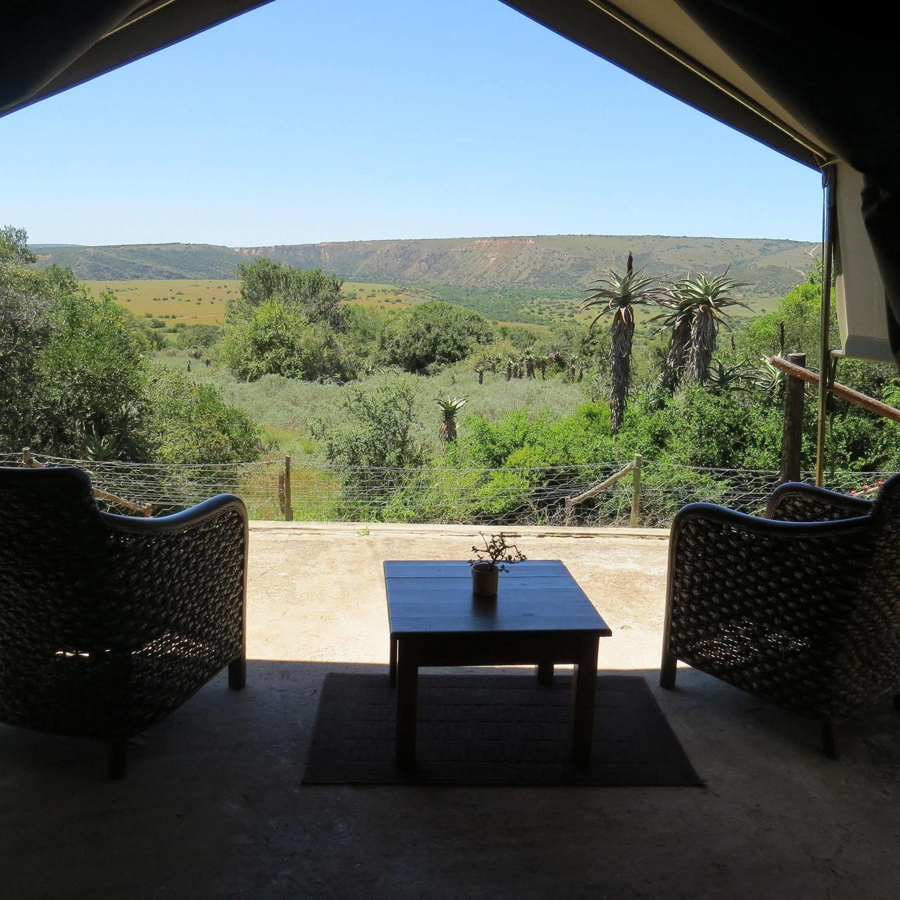 Woodbury Tented Camp - Riserva Faunistica di Amakhala Esterno foto