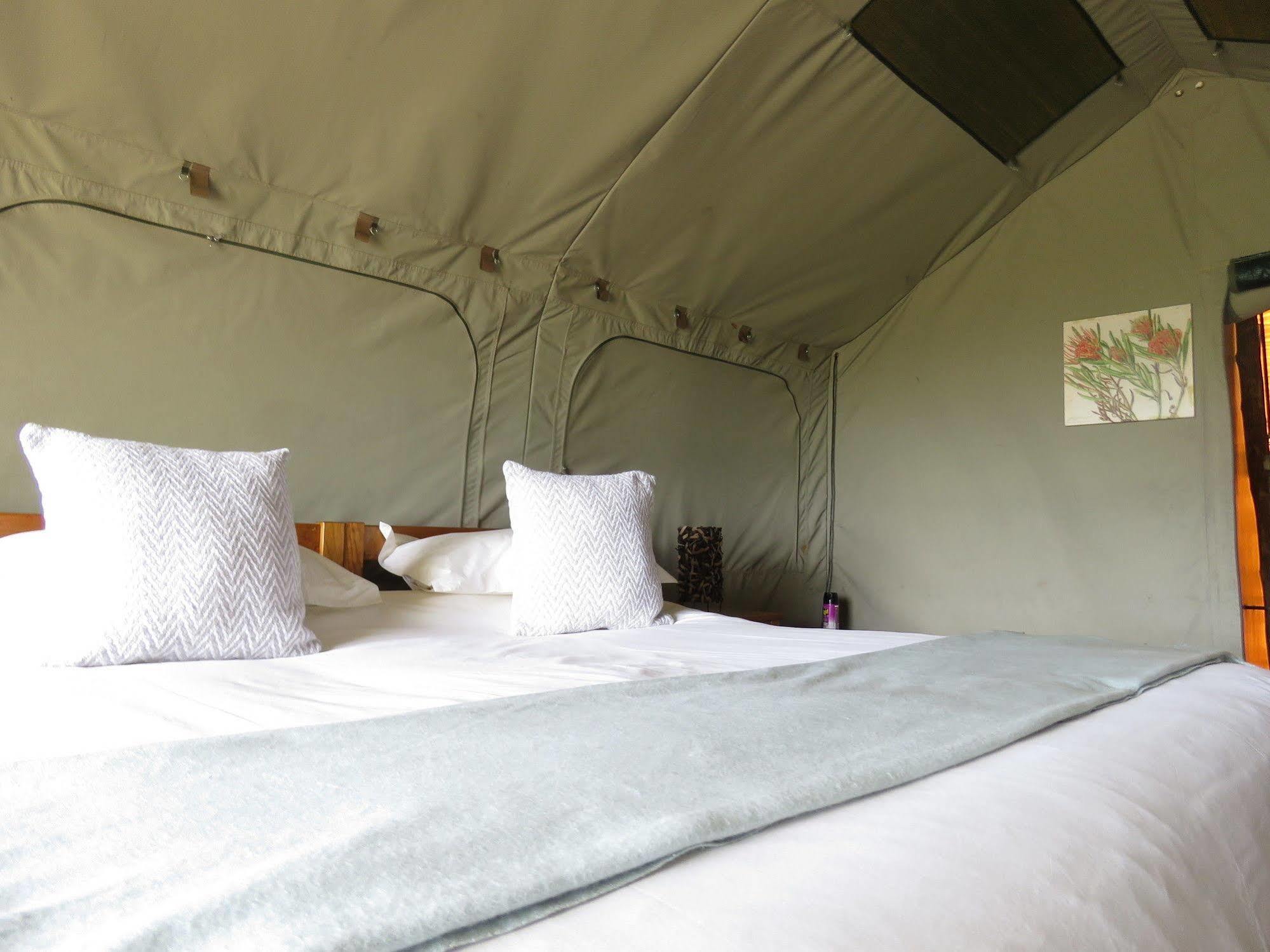 Woodbury Tented Camp - Riserva Faunistica di Amakhala Esterno foto