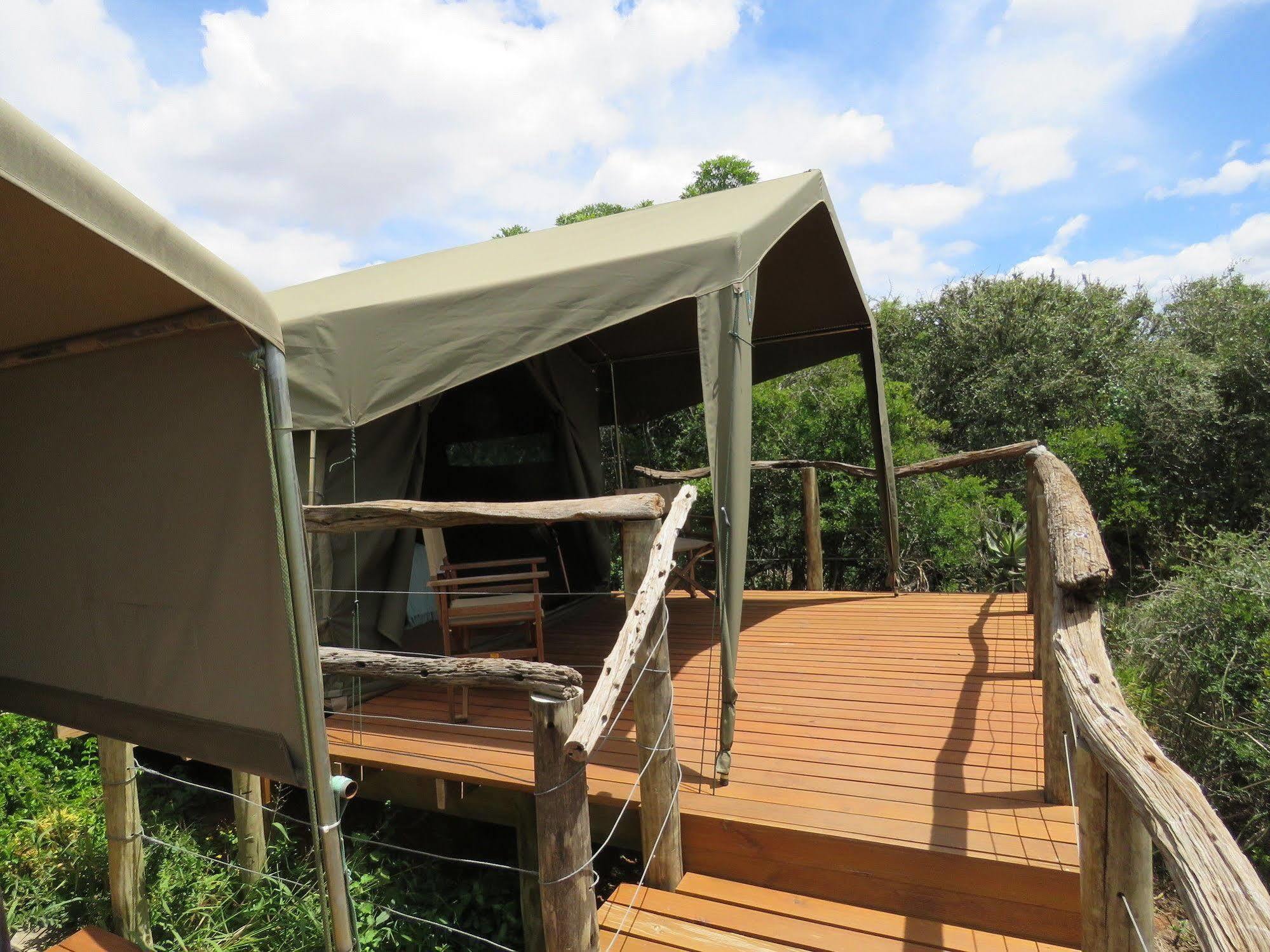 Woodbury Tented Camp - Riserva Faunistica di Amakhala Esterno foto