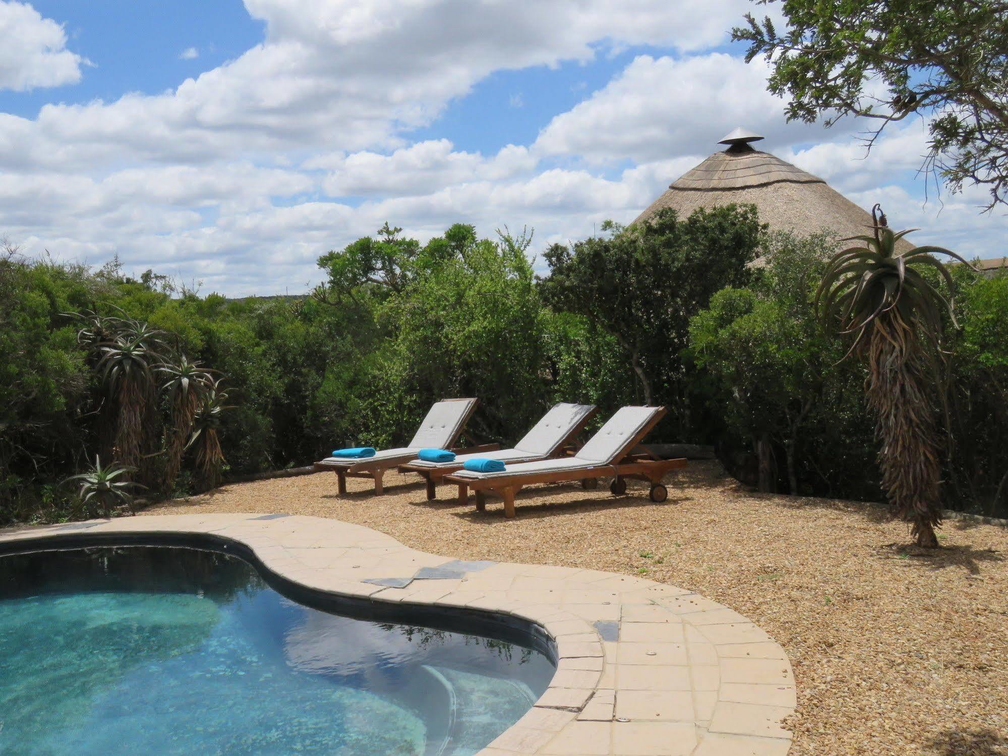Woodbury Tented Camp - Riserva Faunistica di Amakhala Esterno foto