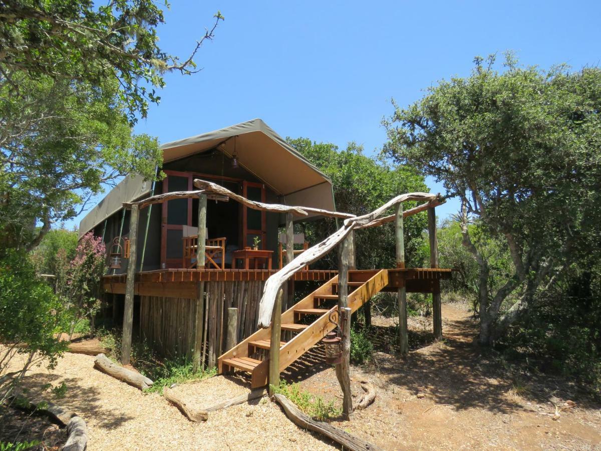 Woodbury Tented Camp - Riserva Faunistica di Amakhala Esterno foto