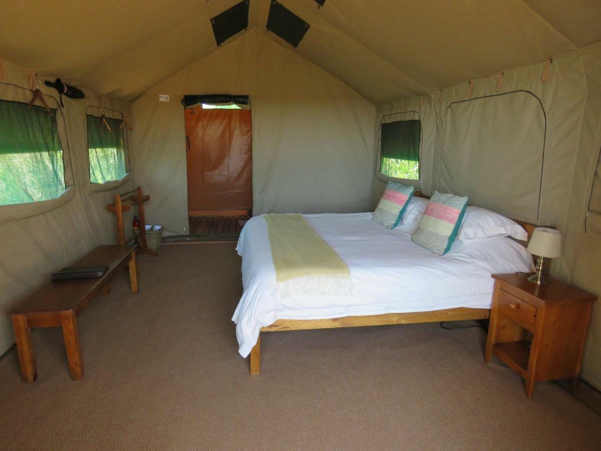 Woodbury Tented Camp - Riserva Faunistica di Amakhala Esterno foto